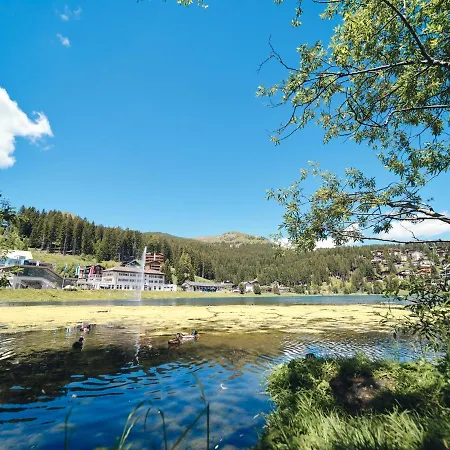 Padrun 6-Weisshornbahn-Arosa Zentrum-Top Lage Appartement *